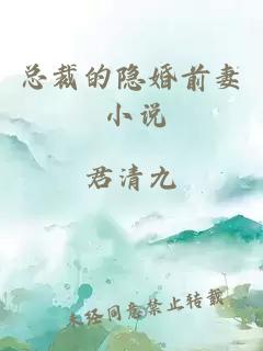 總裁的隱婚前妻 小說